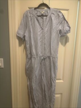 Goodthreads Light Blue Pinstripe Drawstring jumpsuit